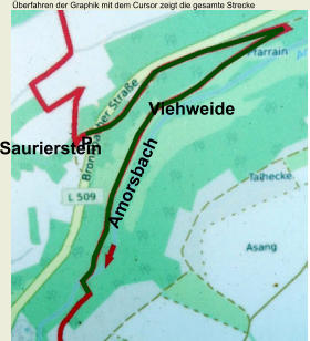 Überfahren der Graphik mit dem Cursor zeigt die gesamte Strecke Saurierstein Viehweide Amorsbach P